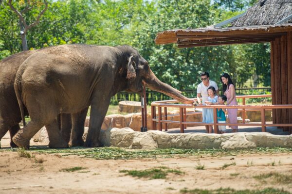VinWonders Nam Hội An - Ảnh 5