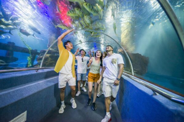 VinWonders Nha Trang - Ảnh 10