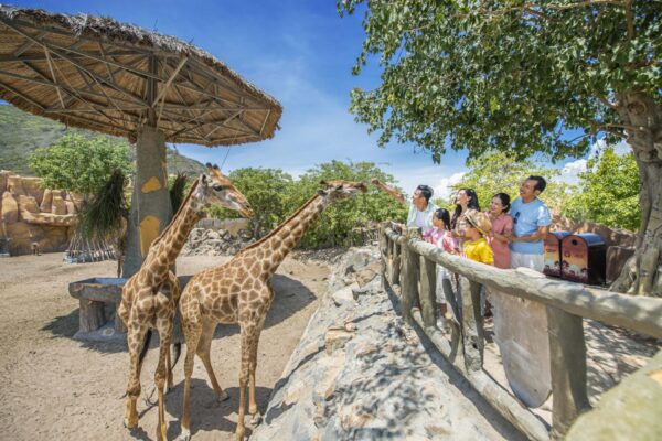 VinWonders Nha Trang - Ảnh 2
