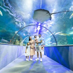 VinKE & Aquarium Times City Hà Nội
