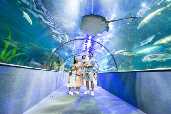 VinKE & Aquarium Times City Hà Nội