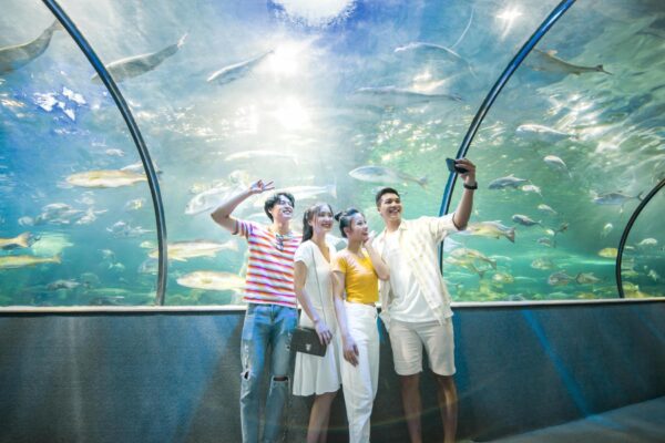 VinKE & Aquarium Times City - Ảnh 5