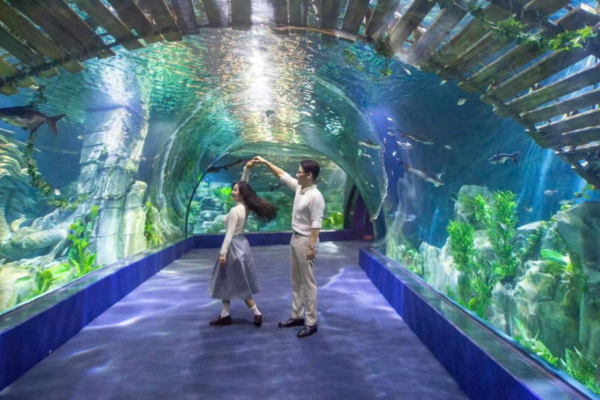 Lotte World Aquarium Tây Hồ Hà Nội - Ảnh 8