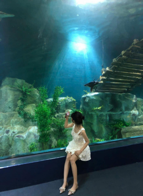 Lotte World Aquarium Tây Hồ Hà Nội - Ảnh 7