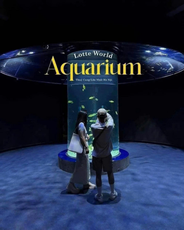 Lotte World Aquarium Tây Hồ Hà Nội - Ảnh 5
