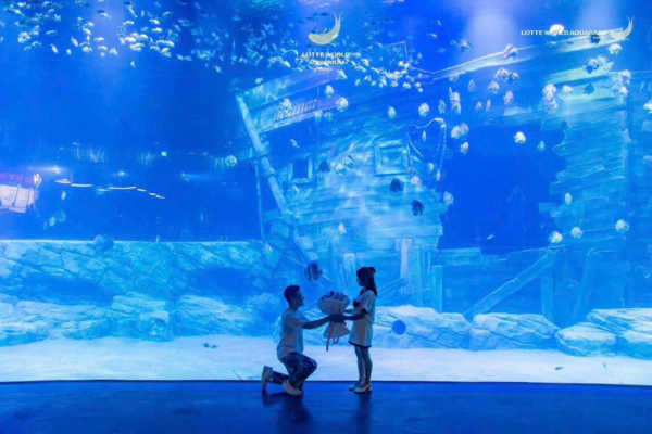 Lotte World Aquarium Tây Hồ Hà Nội - Ảnh 3