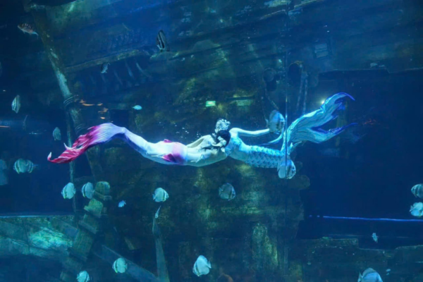 Lotte World Aquarium Tây Hồ Hà Nội - Ảnh 16