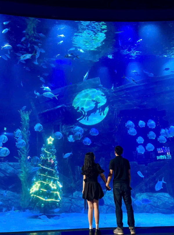 Lotte World Aquarium Tây Hồ Hà Nội - Ảnh 15