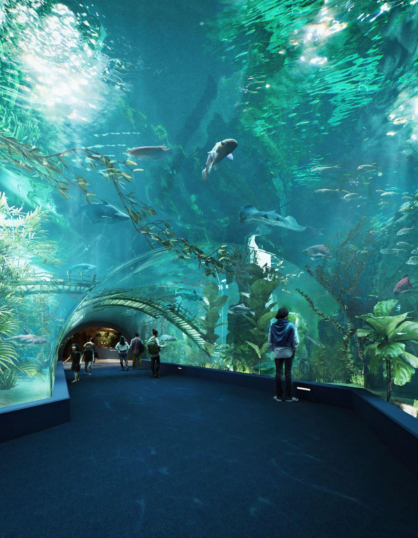 Lotte World Aquarium Tây Hồ Hà Nội - Ảnh 11