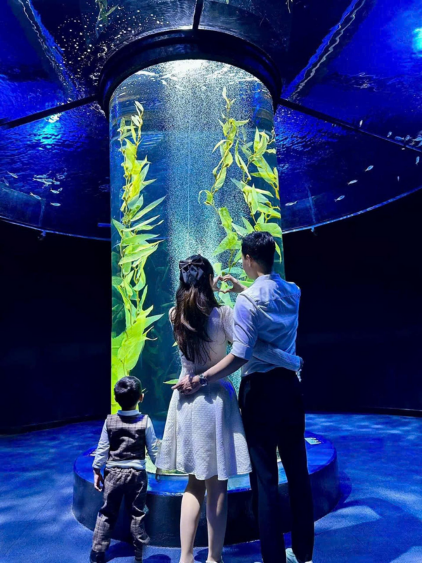 Lotte World Aquarium Tây Hồ Hà Nội - Ảnh 10