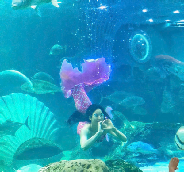 Lotte World Aquarium Tây Hồ Hà Nội - Ảnh 9