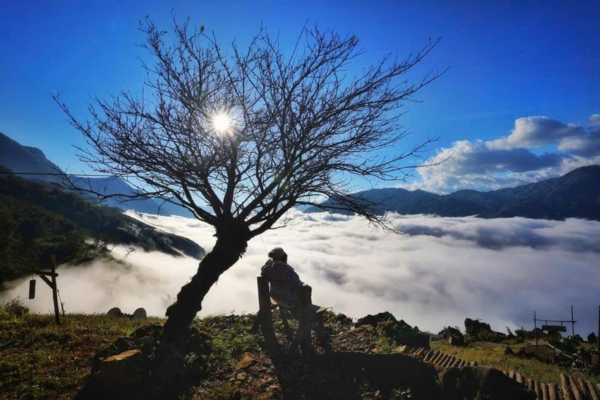 The Best View Sapa - Ảnh 13