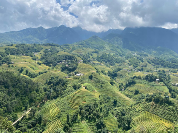 The Best View Sapa - Ảnh 17